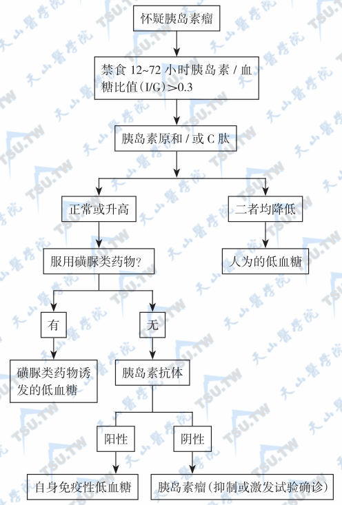  胰岛素瘤的诊断流程