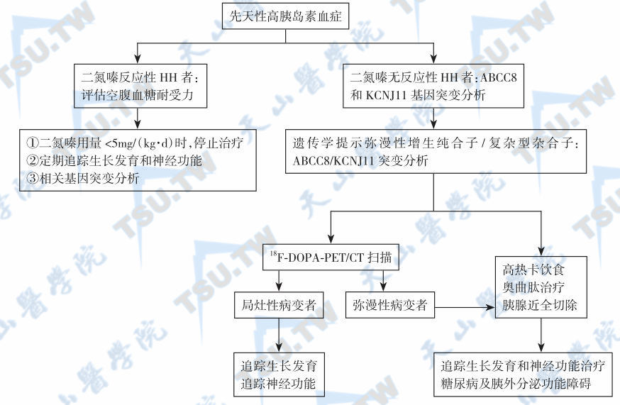  先天性高胰岛素血症性低血糖症的诊疗流程