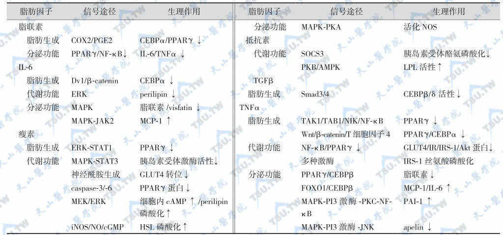 表3：脂肪因子的生理作用