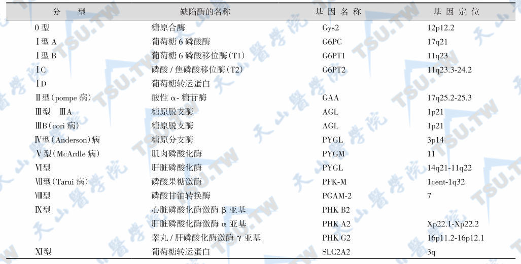 糖原贮积症的分型