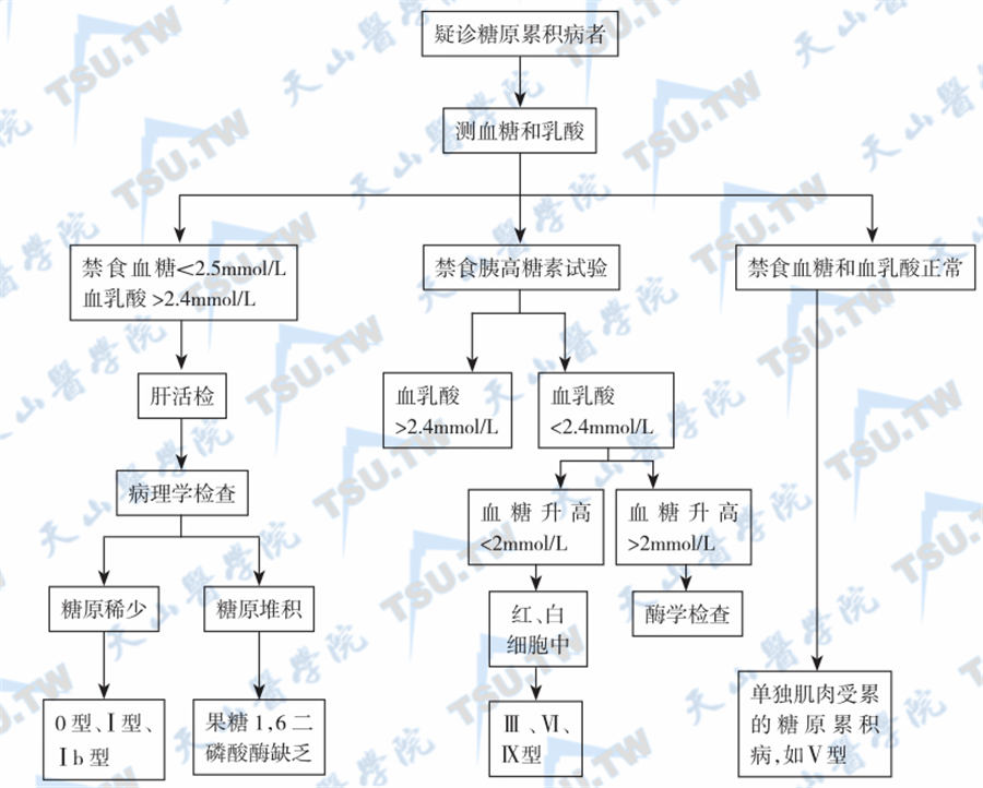  糖原累积症分型的筛选