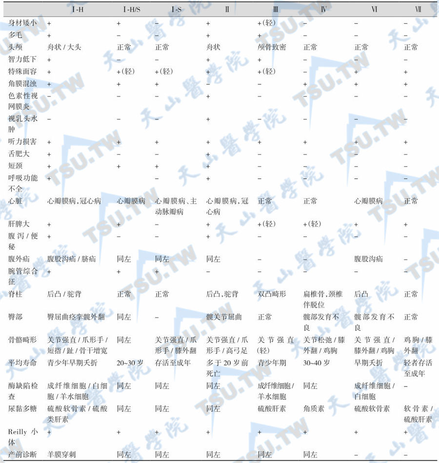 各型黏多糖贮积症的临床特点