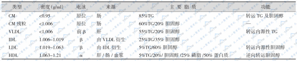 血浆脂蛋白的分类