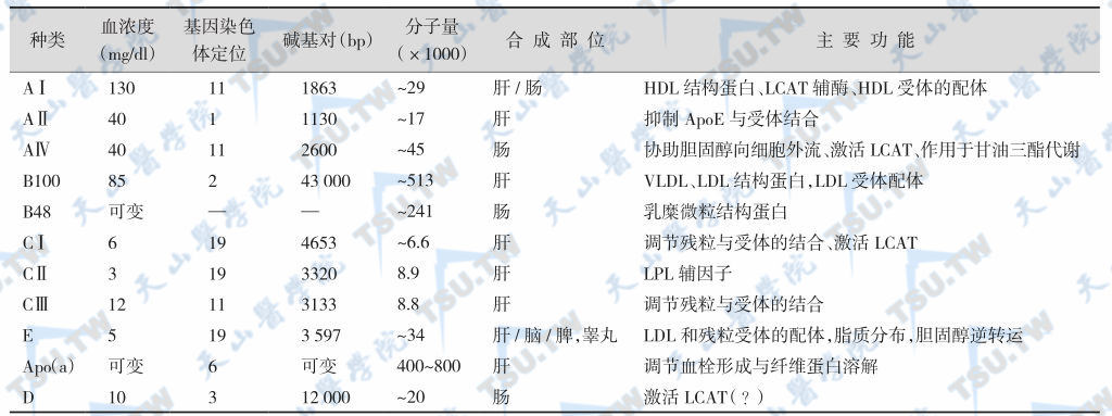 主要的载脂蛋白