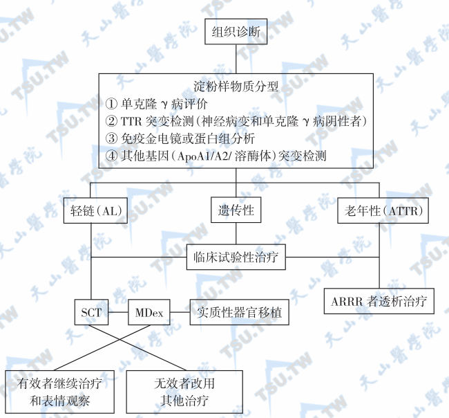 系统性淀粉样蛋白变性的临床表现与诊断