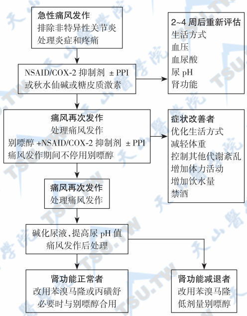 高尿酸血症与痛风的治疗