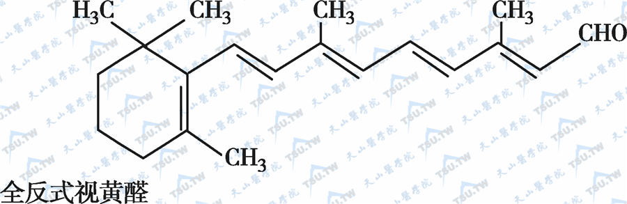 全反式视黄醛