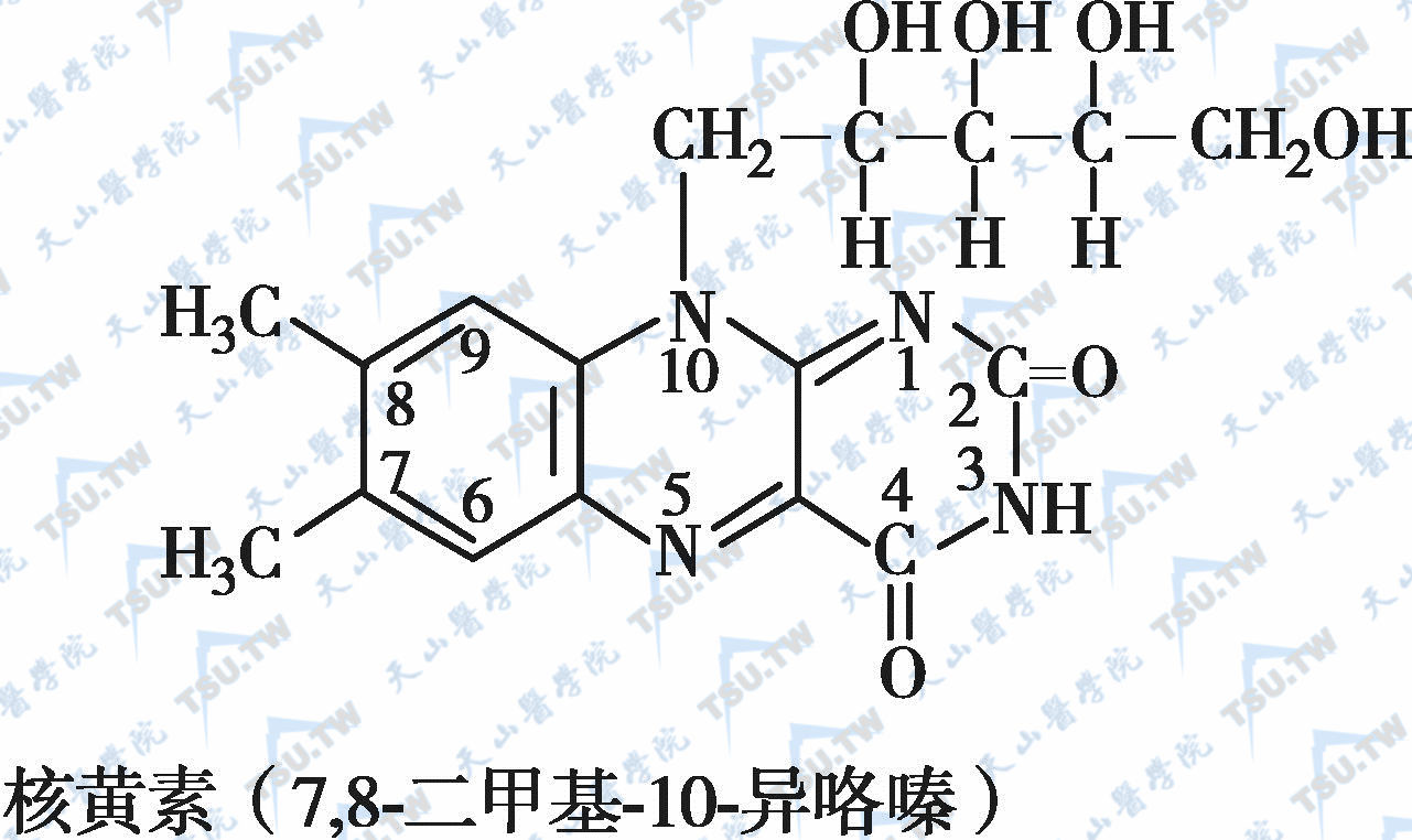 核黄素（维生素B2）