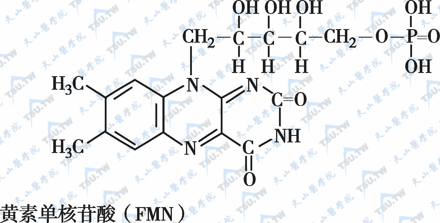 黄素单核苷酸（维生素B2）