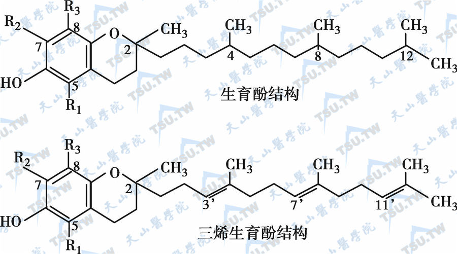  维生素E的分子结构