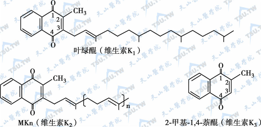  维生素K的分子结构