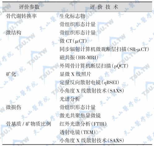 骨质量参数及其评价技术