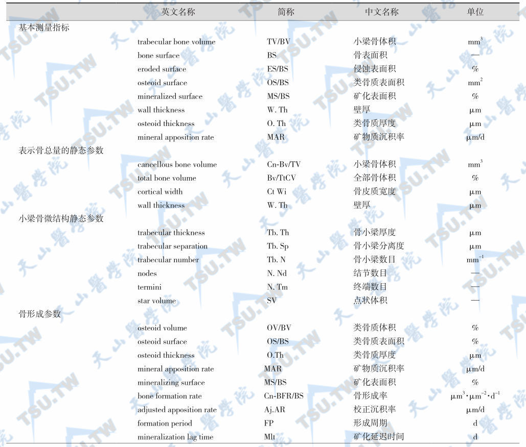 骨形态计量参数