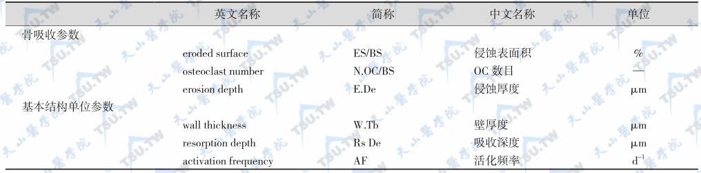 骨形态计量参数