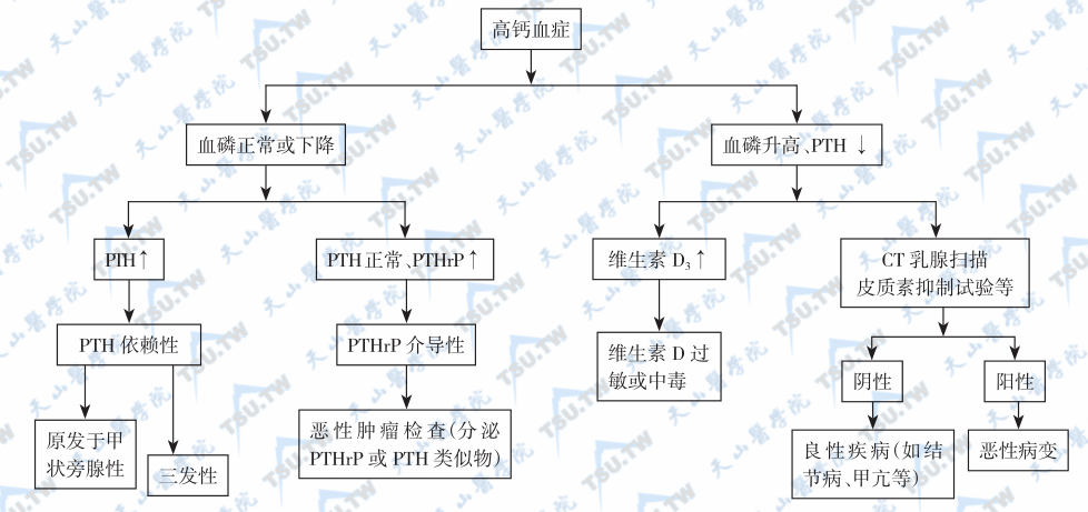 高钙血症的诊断程序