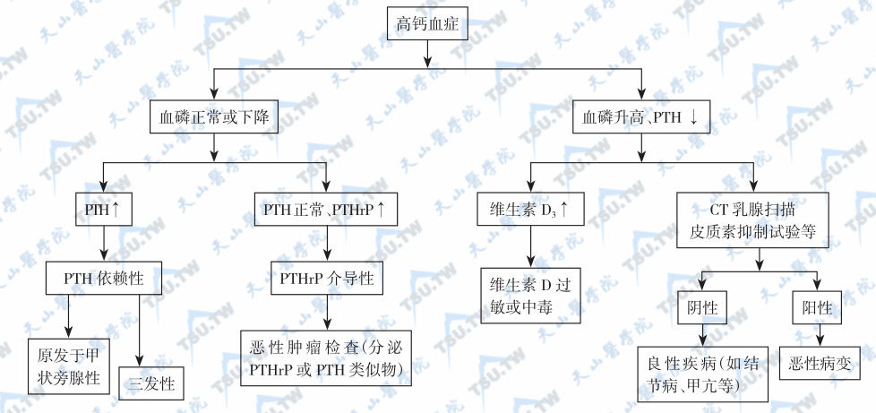  高钙血症的诊断程序