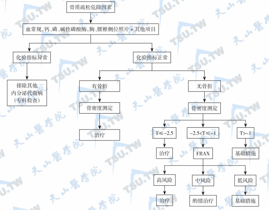  骨质疏松的诊断流程