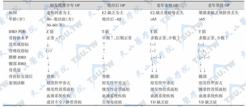 四种原发OP的鉴别要点