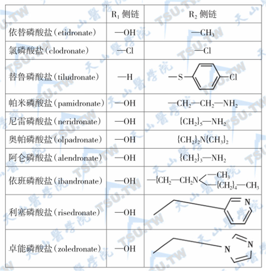  各种二磷酸盐的分子结构及其差异