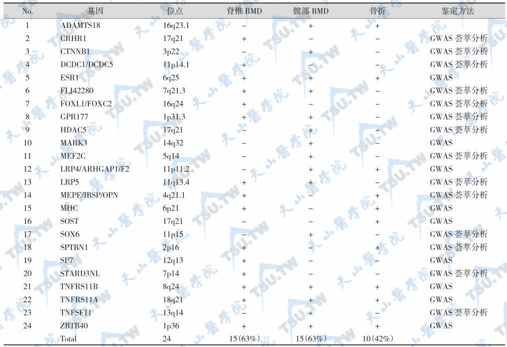 与BMD密切关联的基因和基因组位点