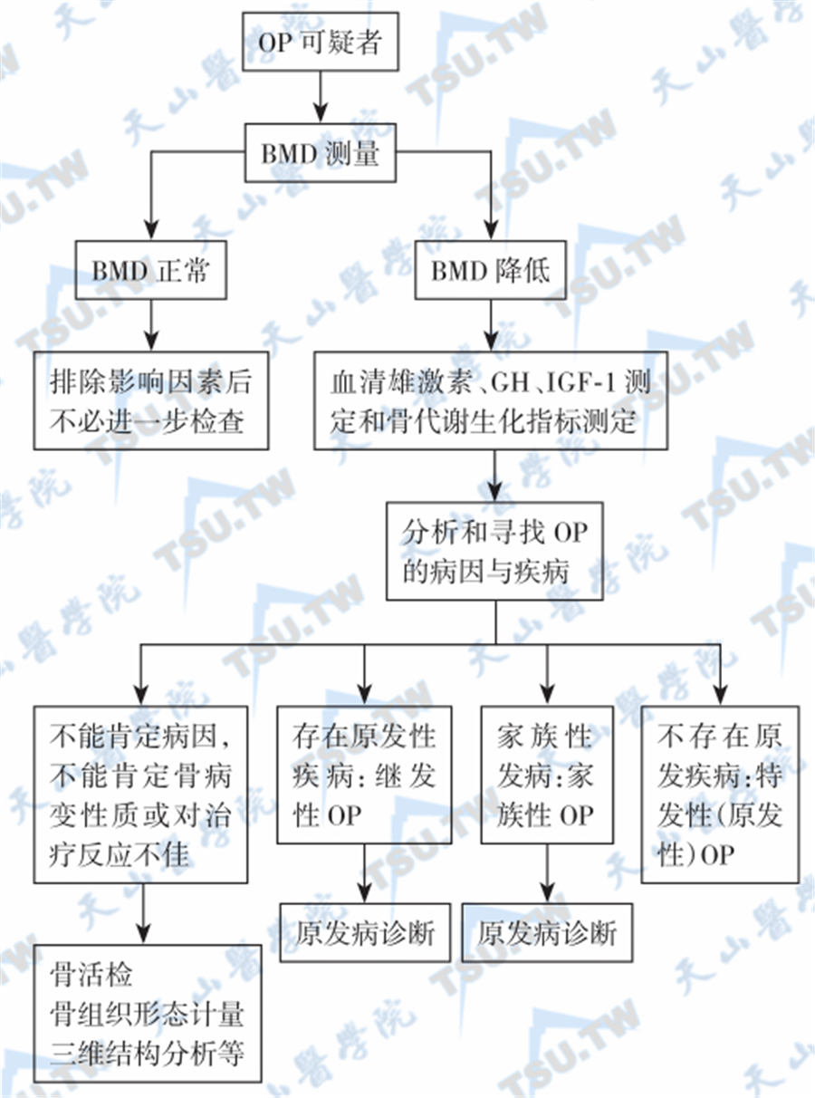  男性骨质疏松症的诊断程序