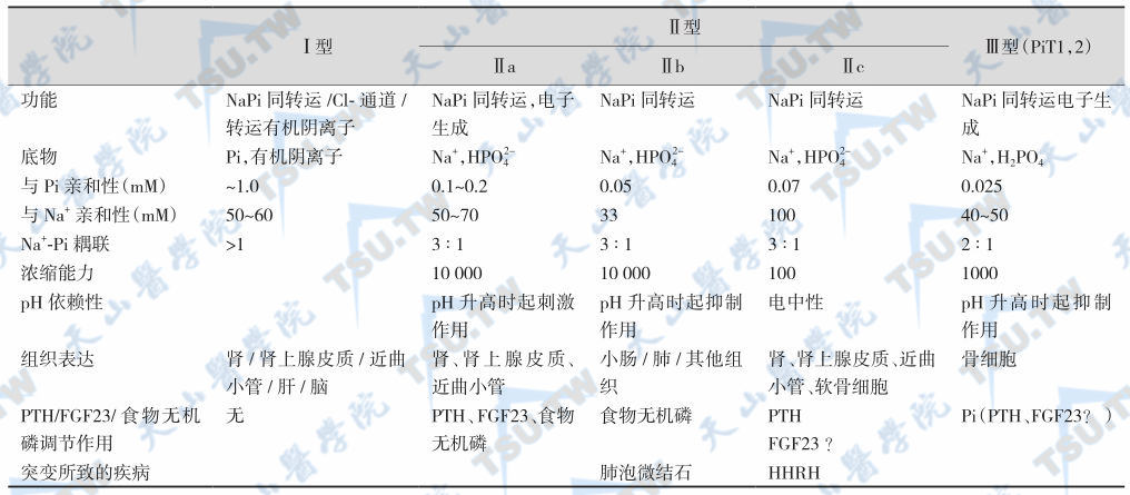 Na/Pi同转运体的生化特征