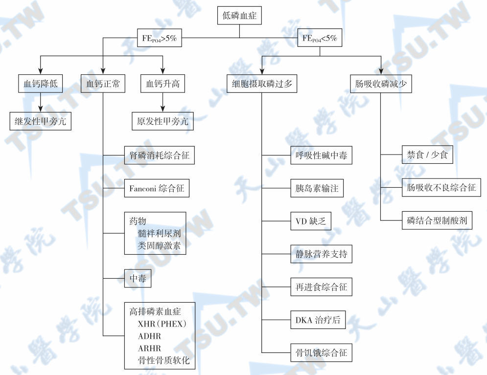 慢性低磷血症性骨病的临床表现、诊断依据与治疗