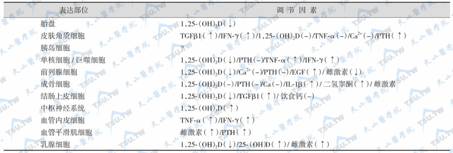 肾外1α羟化酶及其调节因子