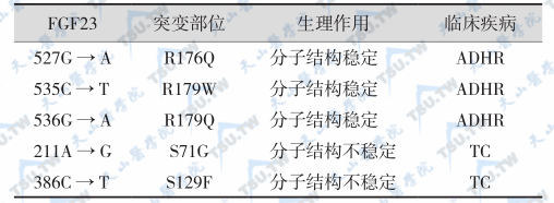 FGF23突变引起的ADHR