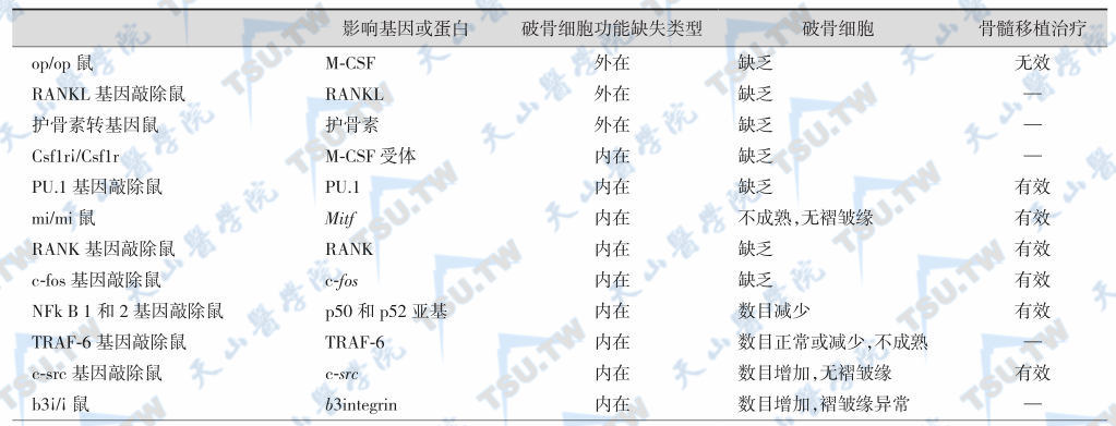 骨质硬化鼠模型基因分析