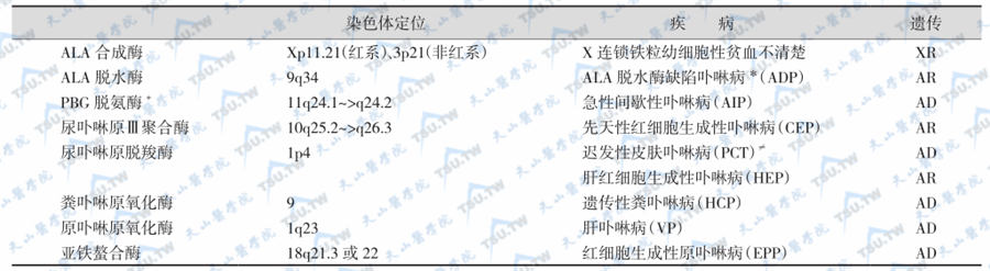 血红素生物合成的酶类及酶缺陷有关的疾病