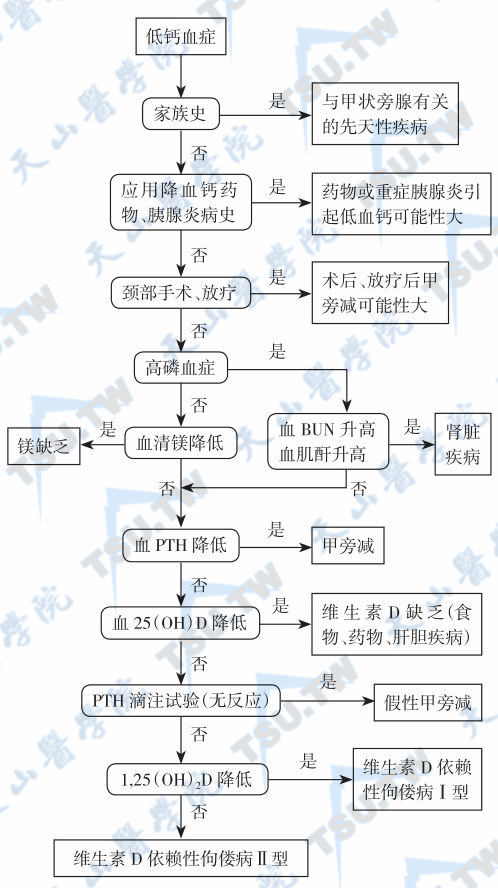  低钙血症诊断流程图