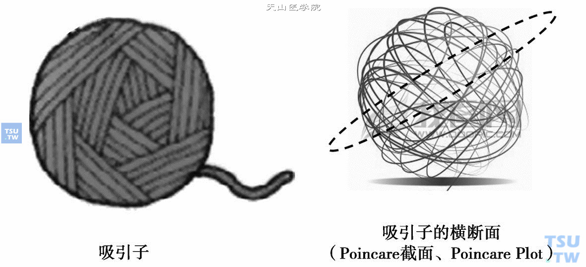 吸引子与Poincare截面；左图是吸引子，是一个缠绕的线团；右图是其Poincare截面，是线团的一个剖面