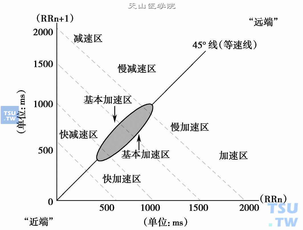  心电散点图背景的标识标线：近端是靠向坐标原点的方向，远端是与其相反的方向；45°等速线（45°线）是一条与坐标X轴、Y轴各成45°角的直线；45°线与X轴之间的三角区是加速区，在加速区的近端方向是快加速区，远端方向是慢加速区，二者不能用绝对数值概括，而是相对的，每个个体及不同的心率条件都会对其产生影响；45°线与Y轴之间的三角区是减速区，在减速区的近端方向是快减速区，远端方向是慢减速区，二者同样不能用绝对数值概括，每个个体及不同的心率条件也会对其产生影响；图中的4条虚线是心率线，每条线的坐标值/2，就是所在位置散点的RR间期数值（单位：ms）