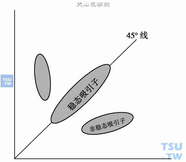  稳态与非稳态吸引子：图中有一个稳态吸引子位于45°线上，有两个脱离45°线的非稳态吸引子