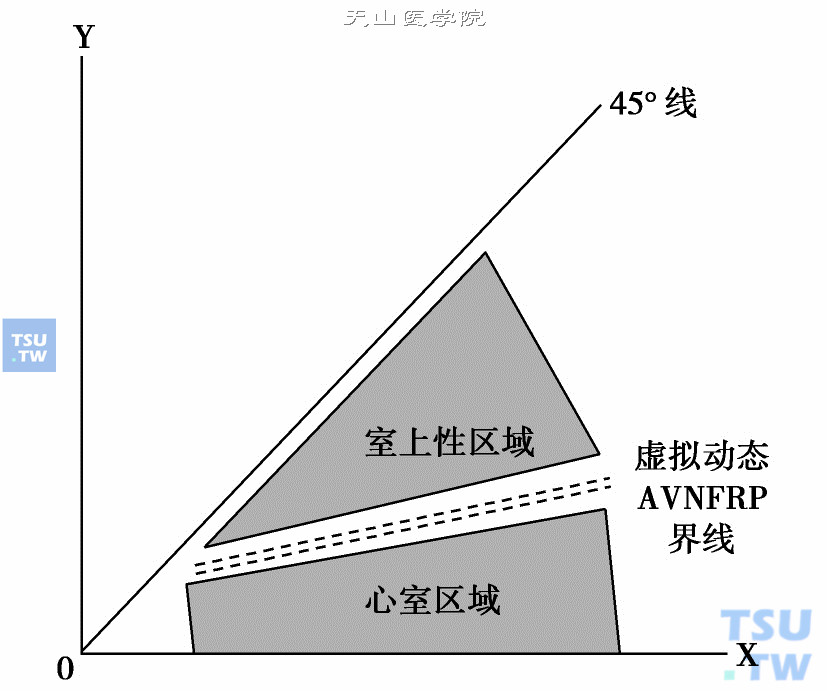  虚似AVNFRP示意图