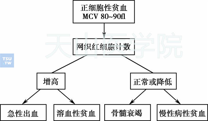 正细胞性贫血