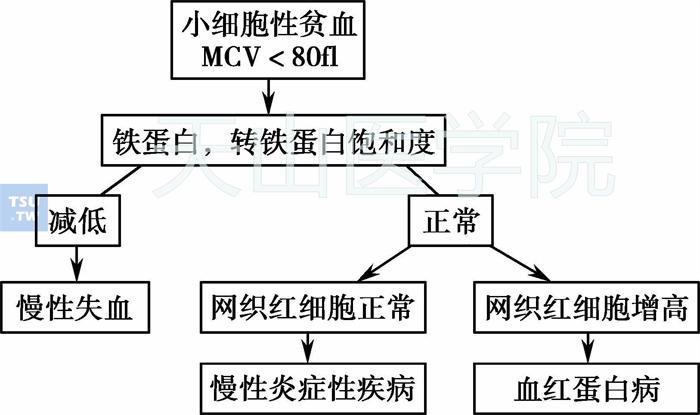 小细胞性贫血