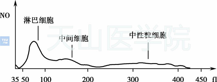  血液分析仪电阻抗法白细胞分类直方图