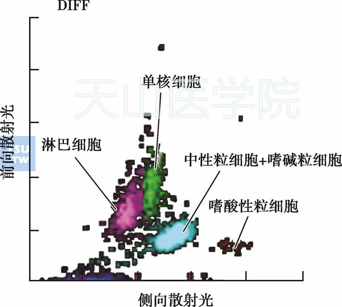  血液分析仪白细胞分类散点图