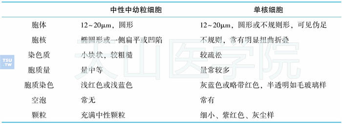 中性中幼粒细胞和单核细胞的鉴别要点