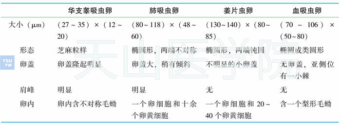 不同吸虫虫卵的特征