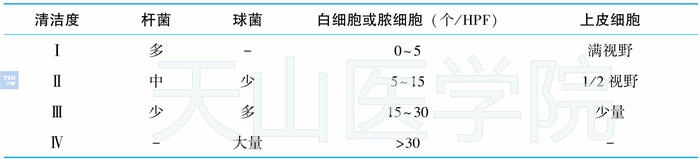 阴道分泌物清洁度判断标准