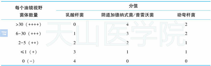 Nugent评分法具体计分标准