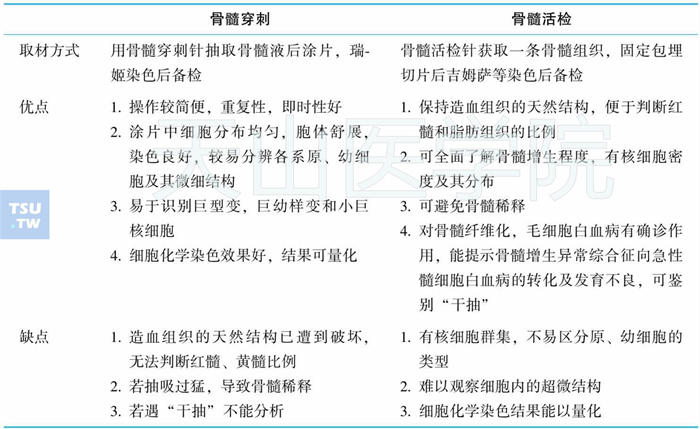 骨髓穿刺和骨髓活检的特点比较