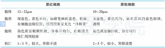 骨髓增生异常综合征中原红细胞和原粒细胞的区别