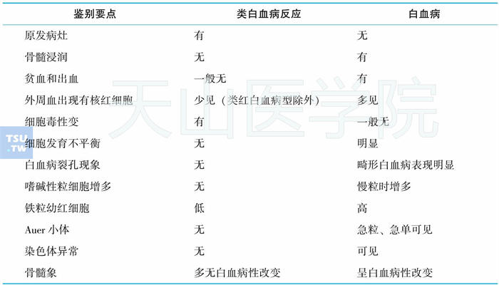 类白血病反应与白血病的鉴别要点