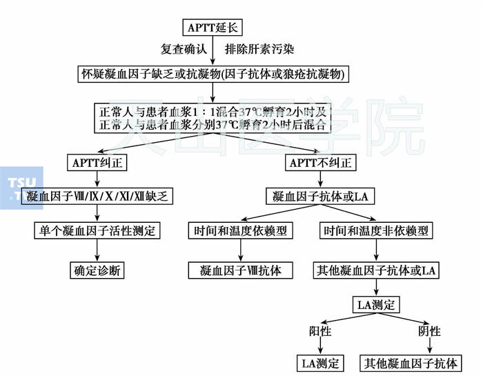 APTT延长的纠正试验结果与意义。   注：LA，狼疮抗凝物