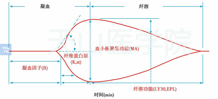  TEG曲线示意图