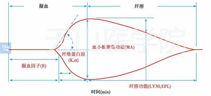  TEG曲线示意图